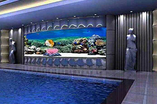 合肥购买到的鱼缸一般都是有哪些材料做的？大体都是这5种