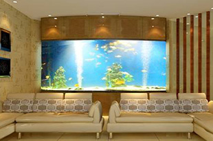 水族圈的负压鱼缸怎么样？这5个问题有待解决