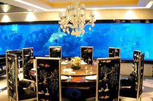 合肥海鲜池要怎么维护和管理呢？注意这九点