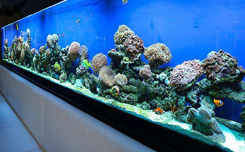 在合肥哪里可以订做海鲜池？合肥定制海鲜池的价格是怎么算的？