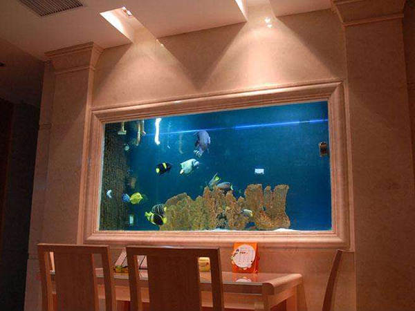 合肥家庭嵌套式鱼缸定制